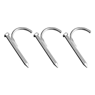 qualità  High Hardness Galvanized Pipe Hook Nails Support Customization fabbrica